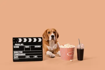 [KVIZ] Znate li kojih su pasmina ovi psi iz filmova?