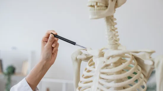 [KVIZ] Iako nisi stručnjak za anatomiju mora&scaron; znati osnove o ljudskim kostima