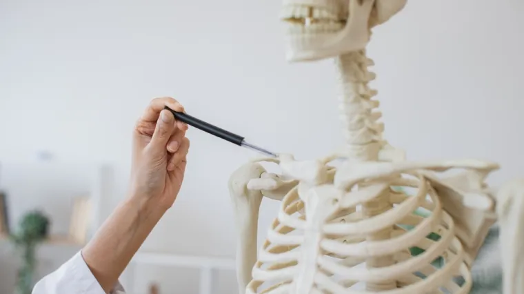 [KVIZ] Iako nisi stručnjak za anatomiju mora&scaron; znati osnove o ljudskim kostima