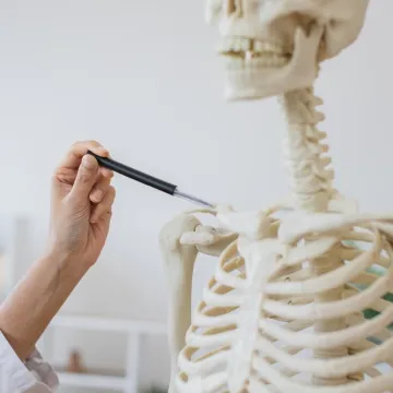 [KVIZ] Iako nisi stručnjak za anatomiju mora&scaron; znati osnove o ljudskim kostima