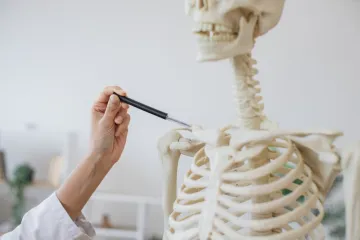 [KVIZ] Iako nisi stručnjak za anatomiju mora&scaron; znati osnove o ljudskim kostima