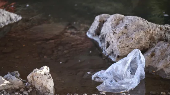 Ovo je mjesto gdje su djeca prona&scaron;la lubanju u vrećici s kamenom