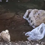 Policija potvrdila: Lubanja je izložbeni primjerak, ovo je mjesto gdje je pronađena