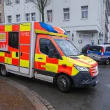 Troje ljudi poginulo na Uskrs, među njima i beba: Lovili uskrsna jaja, na njih palo stablo