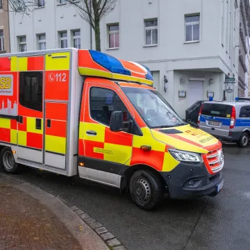 Troje ljudi poginulo na Uskrs, među njima i beba: Lovili uskrsna jaja, na njih palo stablo