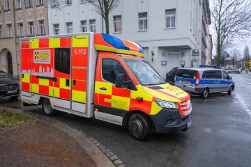 Troje ljudi poginulo na Uskrs, među njima i beba: Lovili uskrsna jaja, na njih palo stablo