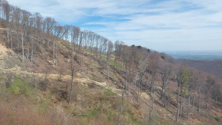 Vožnja žičarom vi&scaron;e nije tako pitoreskna, vjetar nije imao milosti za Sljeme: 'Ovo je grozno'