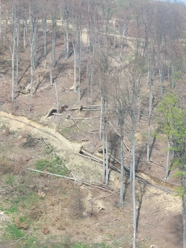 Vožnja žičarom vi&scaron;e nije tako pitoreskna, vjetar nije imao milosti za Sljeme: 'Ovo je grozno'
