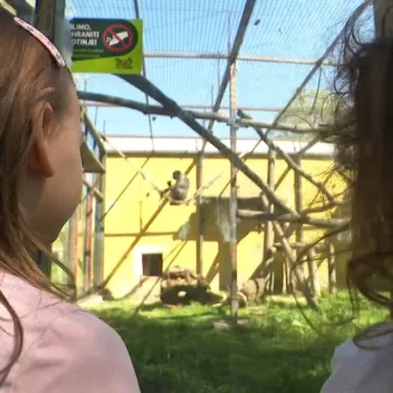 Obitelji pohrlile u osječki Zoo: 'S ovim smo na četvrtini cjelogodi&scaron;njeg prometa'