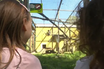 Obitelji pohrlile u osječki Zoo: 'S ovim smo na četvrtini cjelogodi&scaron;njeg prometa'