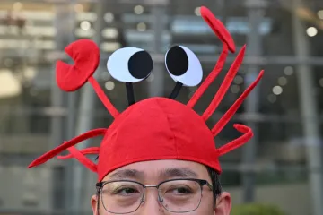 Kinezi poludjeli za 'uzgojem jastoga': Evo o čemu se zapravo radi