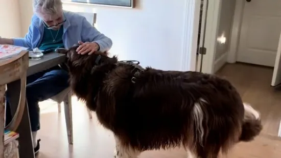 Uvijek je tu da pomogne, video raznježio milijune