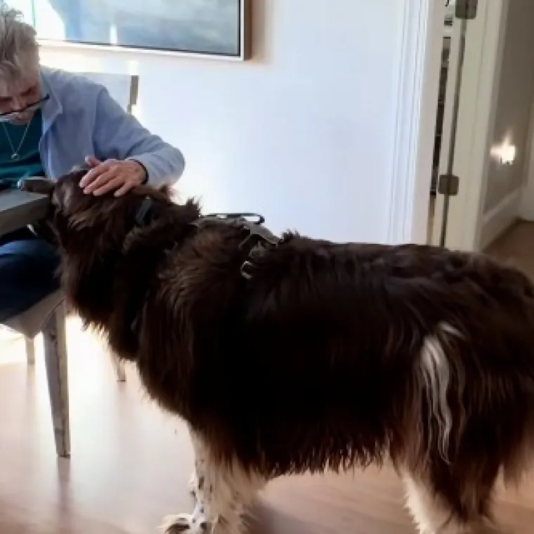 Uvijek je tu da pomogne, video raznježio milijune