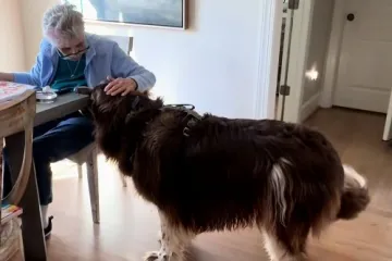 Uvijek je tu da pomogne, video raznježio milijune