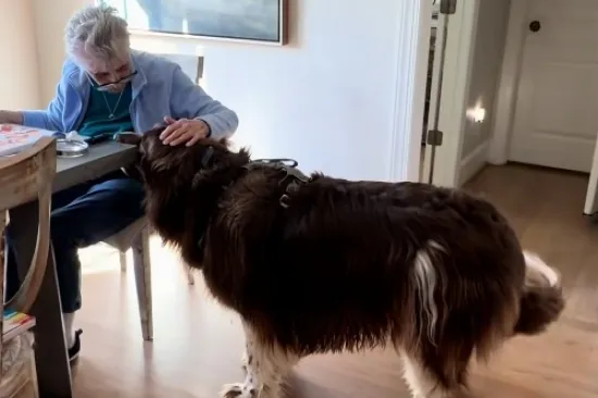 Uvijek je tu da pomogne, video raznježio milijune