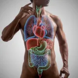 [KVIZ] Znate li osnovne stvari o ljudskom tijelu?