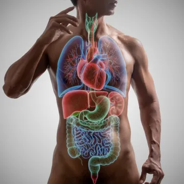 [KVIZ] Znate li osnovne stvari o ljudskom tijelu?