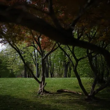 Dogovorena masaža na Ribnjaku po&scaron;la po zlu: Hrvat prijavio Sirijca za bludne radnje