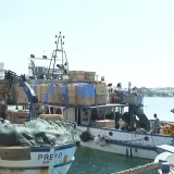 &Scaron;to čeka hrvatske ribare u budućnosti? 'A ni&scaron;ta, propast, eto &scaron;ta...'