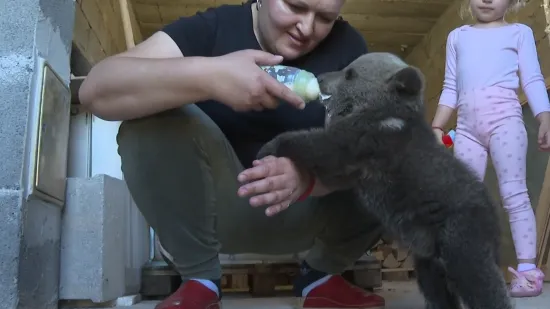 Medo stigao obitelji Čačić! Lovci ga odveli u &scaron;umu, a on se vratio: 'Na&scaron;ao ga u drvarnici'