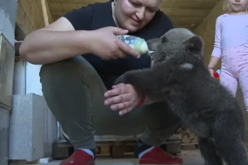 Medo stigao obitelji Čačić! Lovci ga odveli u &scaron;umu, a on se vratio: 'Na&scaron;ao ga u drvarnici'