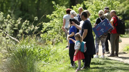 Vrebaju prijenosnici opasnih bolesti: Simptomi se mogu razviti i nakon mjesec dana