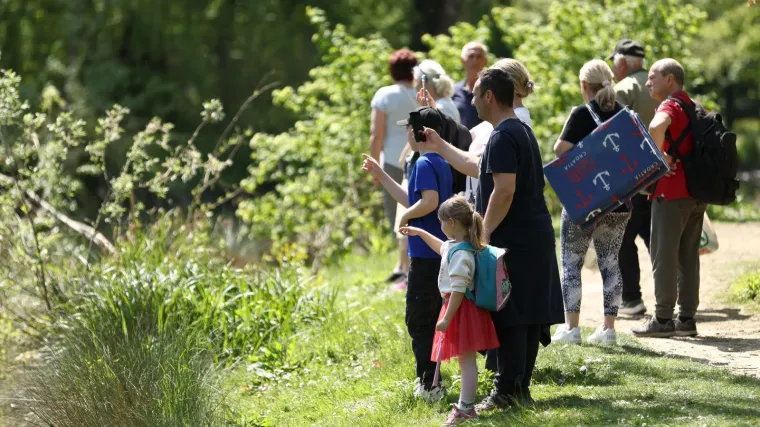 Vrebaju prijenosnici opasnih bolesti: Simptomi se mogu razviti i nakon mjesec dana