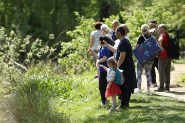 Vrebaju prijenosnici opasnih bolesti: Simptomi se mogu razviti i nakon mjesec dana