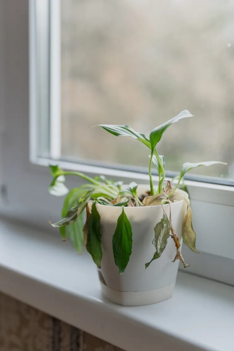 Pažljivo pazite na ove znakove: Oni vam ukazuju na to da donosite nesreću svima oko sebe