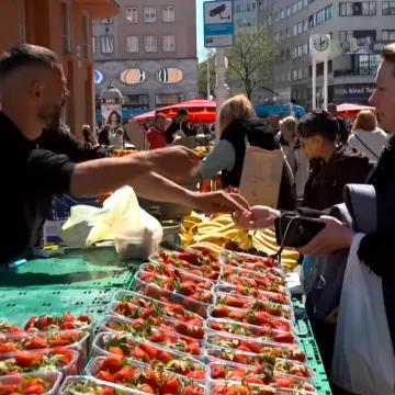 Uvozne jagode stigle na tržnice, a kad će domaće? 'S obzirom na sve &scaron;to se događa...'