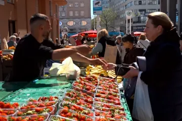 Uvozne jagode stigle na tržnice, a kad će domaće? 'S obzirom na sve &scaron;to se događa...'