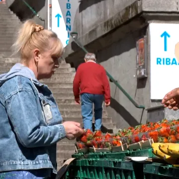 Počela sezona jagoda, ali na domaće ćemo jo&scaron; pričekati: 'Tako jeftine jo&scaron; nismo imali'