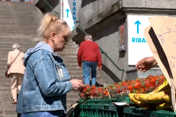 Počela sezona jagoda, ali na domaće ćemo jo&scaron; pričekati: 'Tako jeftine jo&scaron; nismo imali'