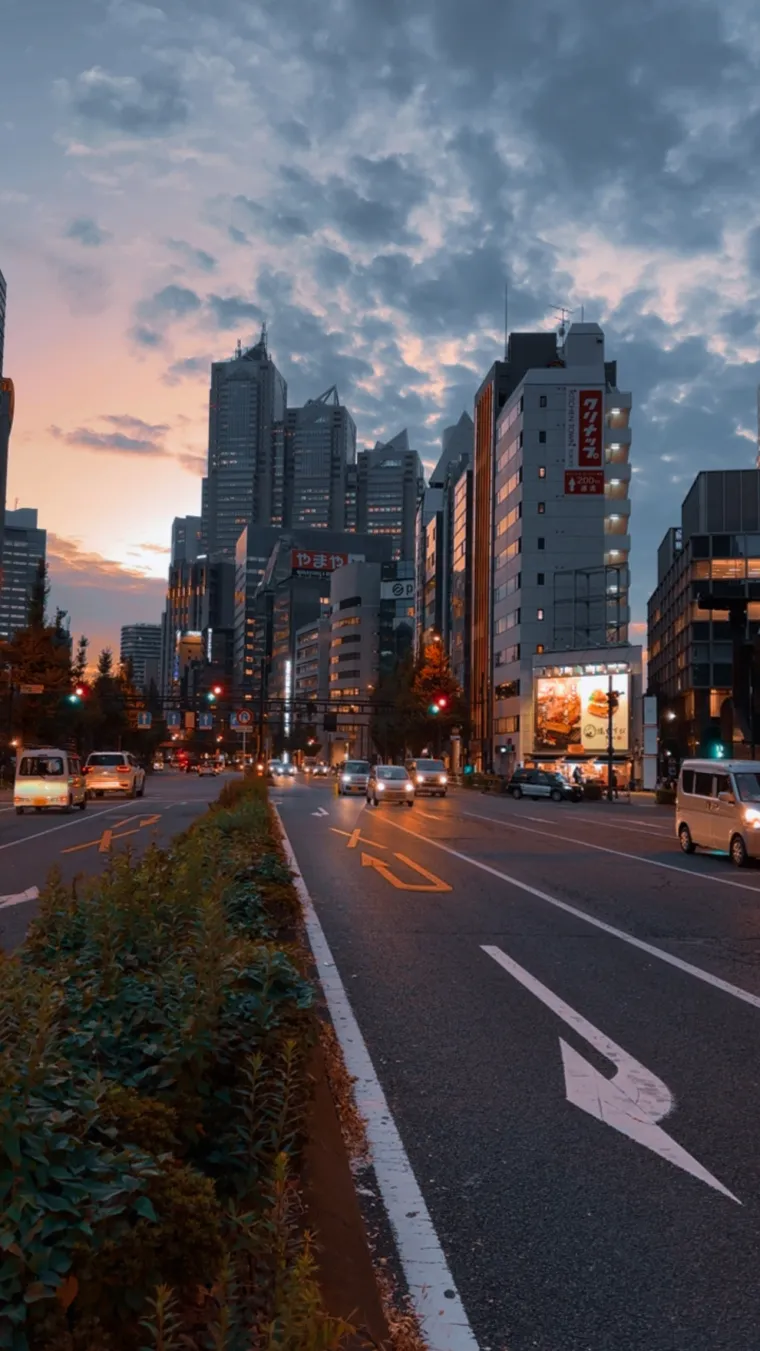 Pačja krv i jezik na tanjuru, jelo u restoranu 10 &euro;, cijene za poželjeti: 'Jedno me &scaron;okiralo'