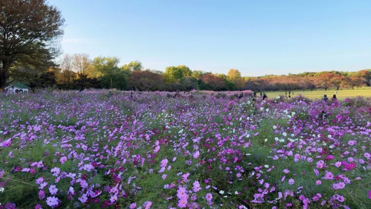 Pačja krv i jezik na tanjuru, jelo u restoranu 10 &euro;, cijene za poželjeti: 'Jedno me &scaron;okiralo'