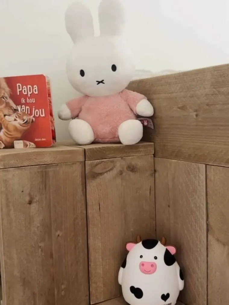 Sve je spremno za prinovu: Rubenova partnerica pokazala dječju sobicu, a jedan detalj topi srca