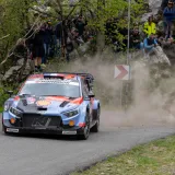 Ljudi visjeli po granama uz cestu: Donijeli hladnjake, a pogledajte gdje su ro&scaron;tiljali kobasice