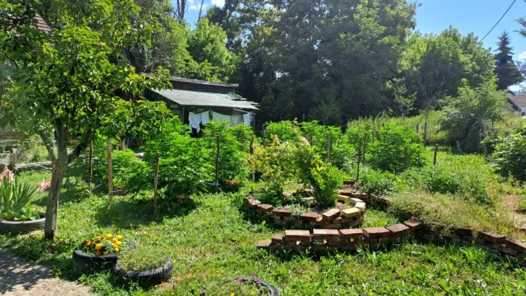 Emilija se iz Zagreba preselila u Lipik: 'Postao je moj životni put i &scaron;kola'