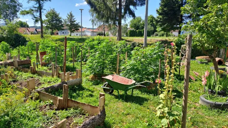 Emilija se iz Zagreba preselila u Lipik: 'Postao je moj životni put i &scaron;kola'