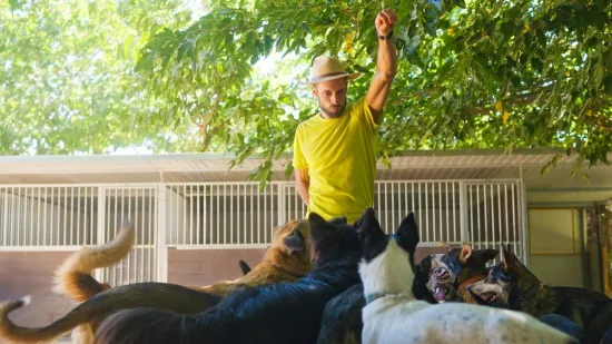 Izbjegavajte ove tri pasmine: 'Jedna može ubiti čopor vukova, a druga je borbeni tenk'