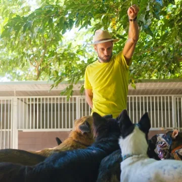 Izbjegavajte ove tri pasmine: 'Jedna može ubiti čopor vukova, a druga je borbeni tenk'