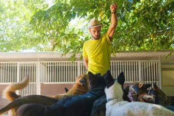 Izbjegavajte ove tri pasmine: 'Jedna može ubiti čopor vukova, a druga je borbeni tenk'