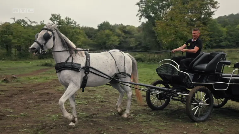 Slavonski tjedan zatvara svestrani Madžo: 'Imam ba&scaron; velika očekivanja'