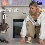 Bespo&scaron;tedna bitka za svaki zalogaj