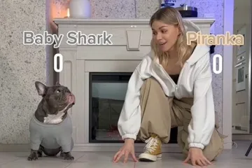 Bespo&scaron;tedna bitka za svaki zalogaj