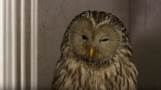 Spas za 252 životinje: Uz zahvale svim dobrim ljudima, pristiglo je i jasno upozorenje