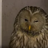 Spas za 252 životinje: Uz zahvale svim dobrim ljudima, pristiglo je i jasno upozorenje