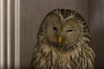 Spas za 252 životinje: Uz zahvale svim dobrim ljudima, pristiglo je i jasno upozorenje