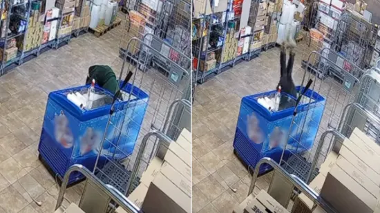 Hit video iz trgovine u Zagrebu: Pogledajte trenutak kada je prodavačica 'nestala' u &scaron;krinji za sladoled