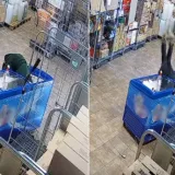 Hit video iz trgovine u Zagrebu: Pogledajte trenutak kada je prodavačica 'nestala' u &scaron;krinji za sladoled